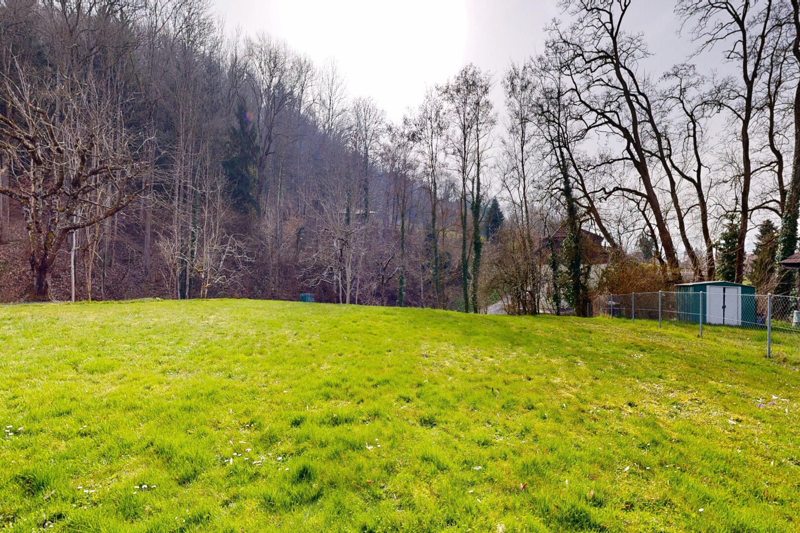 garten mit zaun, rasen, und overcast