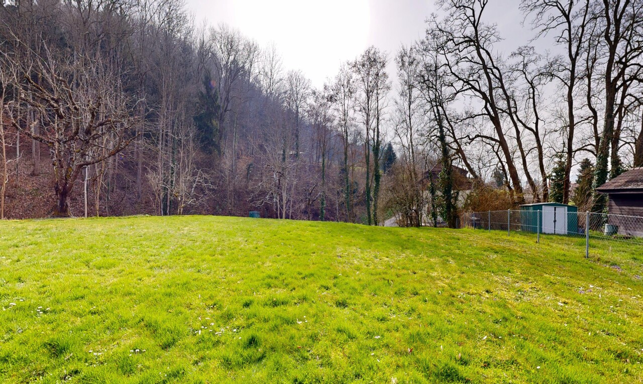 garten mit zaun, rasen, und overcast