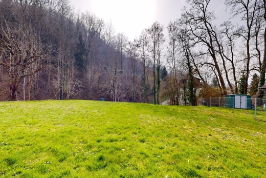 garten mit zaun, rasen, und overcast