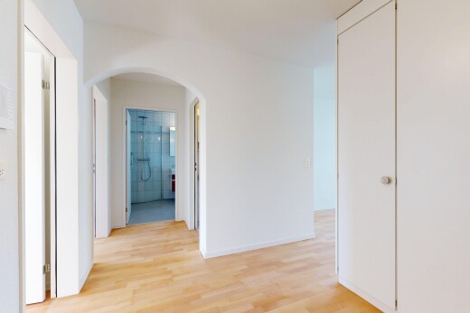 halle / korridor mit holzfußboden, wood finish floor, gipskartonwand, drywall, und gewölbte gehwege