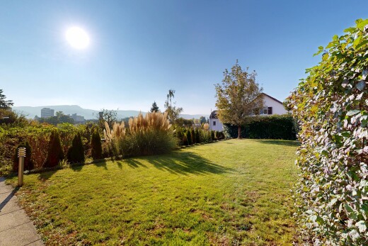 garten mit rasen und day time