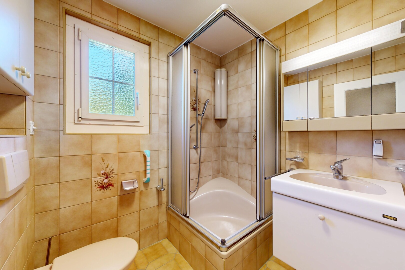 salle de bains avec douche, miroir, lavabo (ou coiffeuse selon le contexte), salle de bain complète, et mur en carrelage