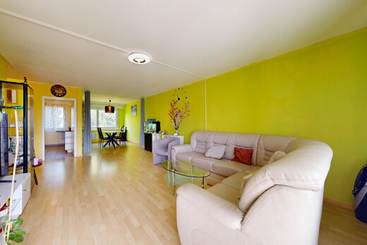 salon / salle à manger avec lumière naturelle, natural light, sol en finition bois, wood finish floor, et cloison sèche