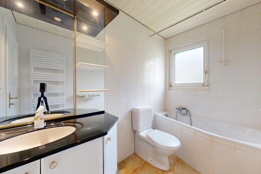 bad mit natürliches licht, bad, fliesenboden, toilette, und schminktisch