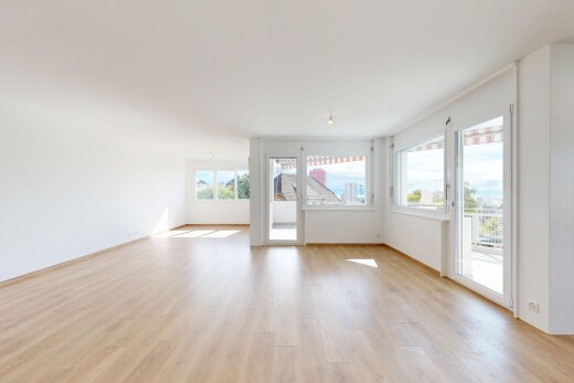 pièce vide avec sol en finition bois, wood finish floor, lumière naturelle, natural light, et cloison sèche