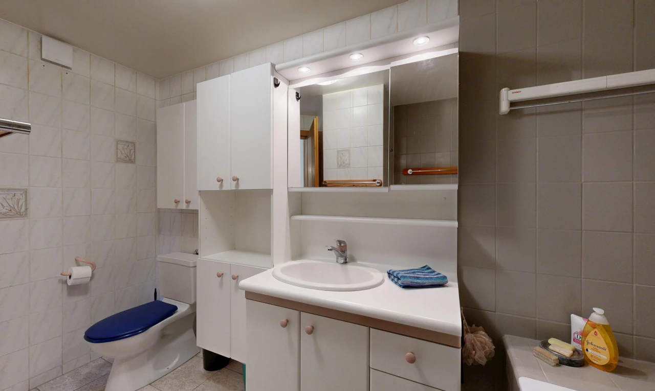 salle de bains avec toilette, mur en carrelage, tile wall, miroir, et évier