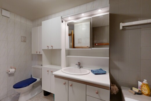 bad mit toilette, fliesenwand, tile wall, spiegel, und waschbecken
