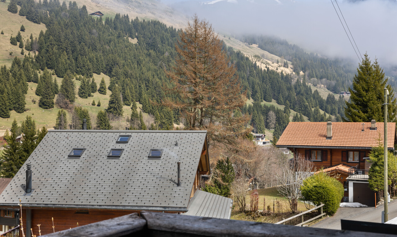 façade avec from property, vue sur la montagne, mountain view, balcon, et vue sur la forêt