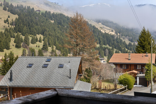 façade avec from property, vue sur la montagne, mountain view, balcon, et vue sur la forêt