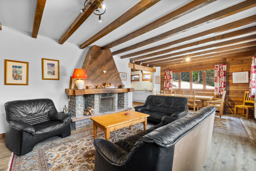 salon avec wood finish floor, sol en finition bois, cheminée, inside property, et natural light
