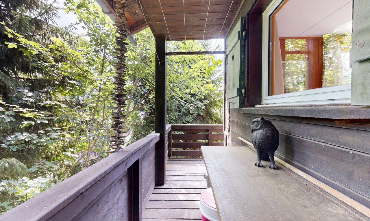 balcon avec animal pet, animal, et from property