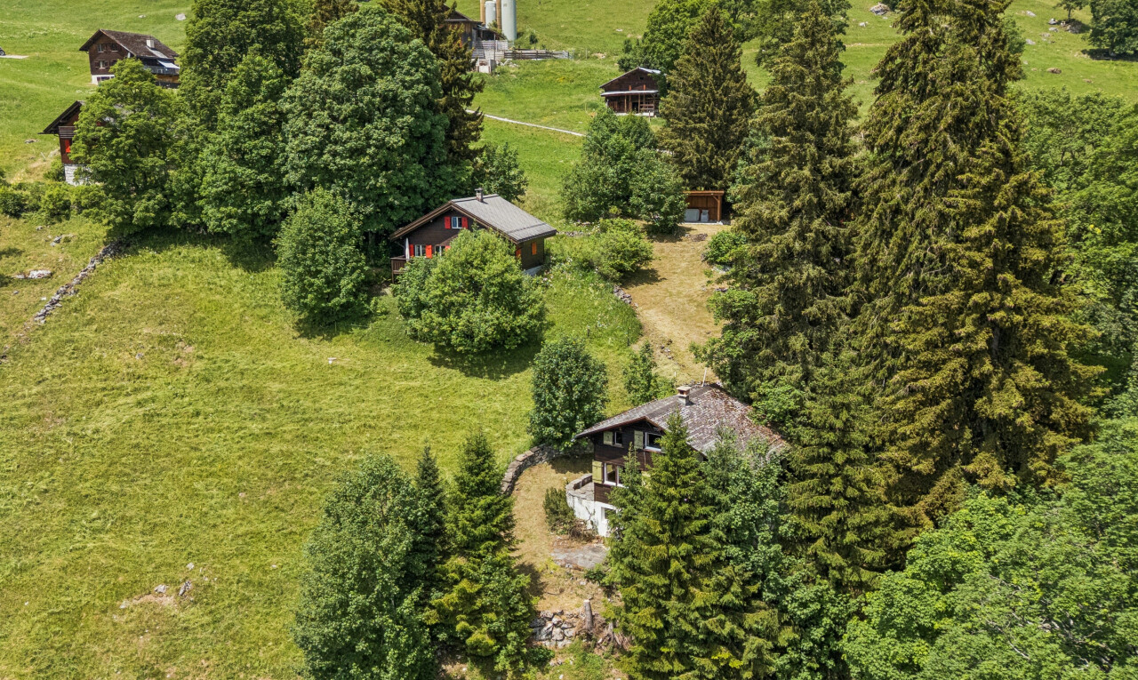 jardin avec rural view, vue rurale, et aerial view