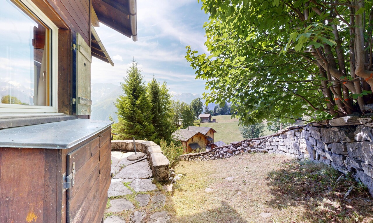 jardin avec day time et from property