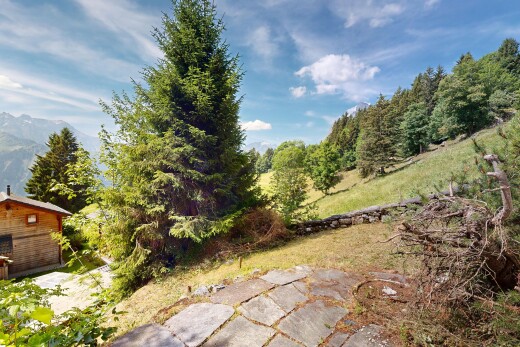 view of garden
