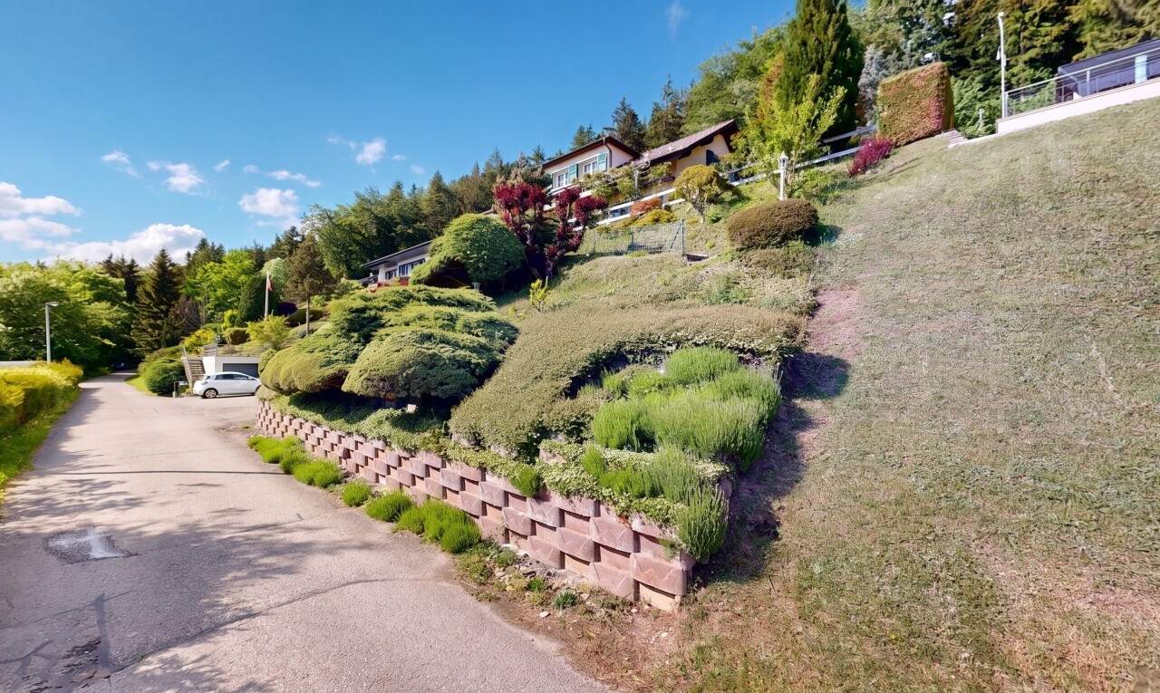 jardin avec day time