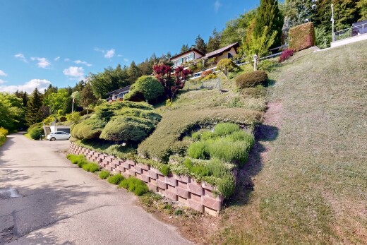 jardin avec day time