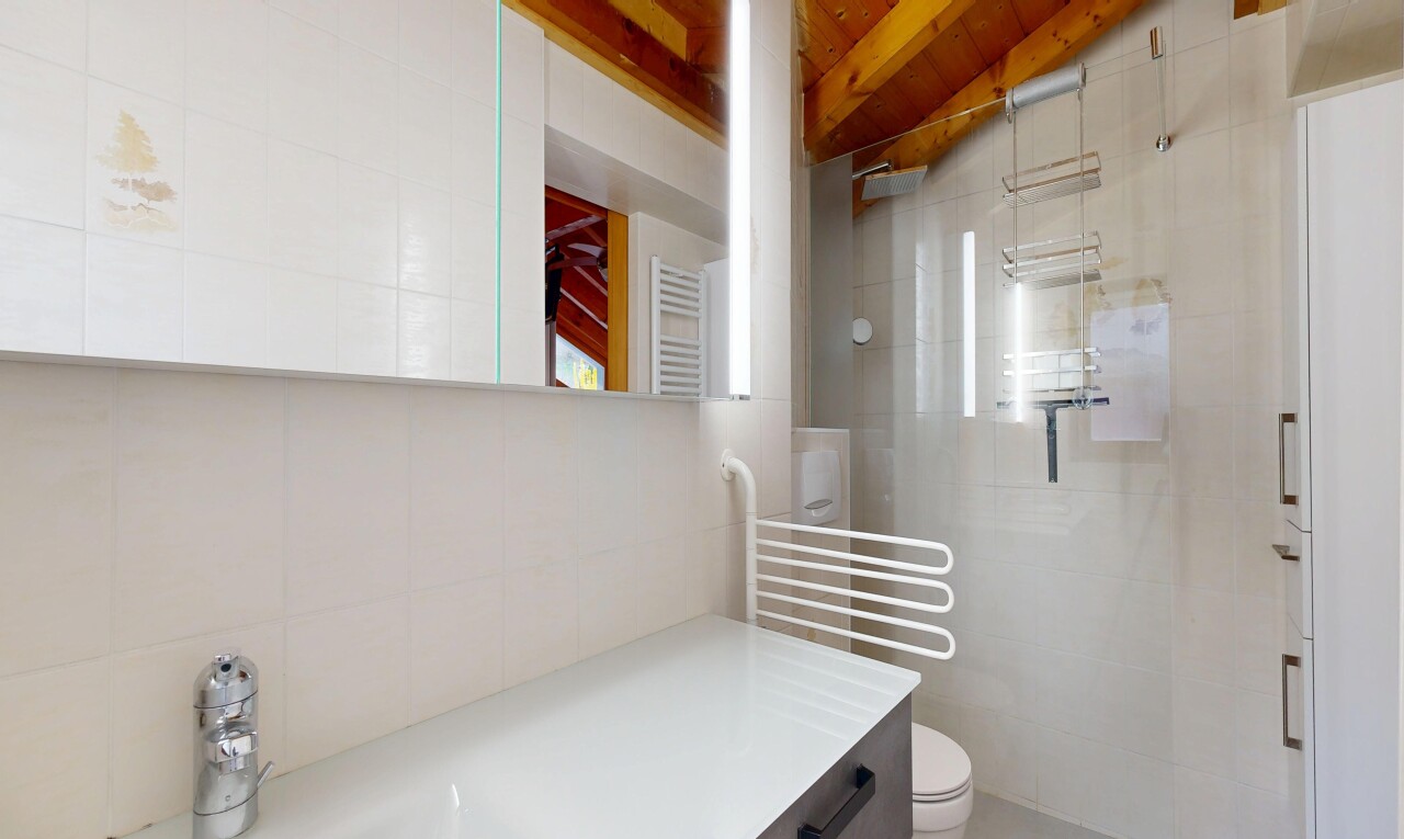 bad mit dusche, fliesenwand, tile wall, komplettes badezimmer, und kühler