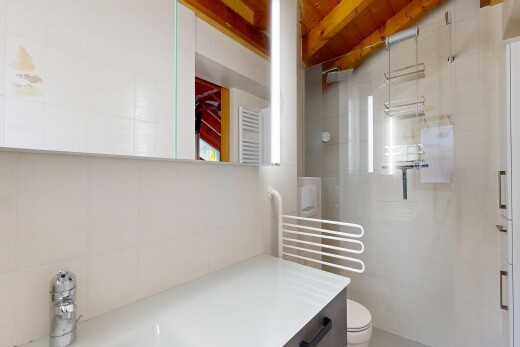 bad mit dusche, fliesenwand, tile wall, komplettes badezimmer, und kühler