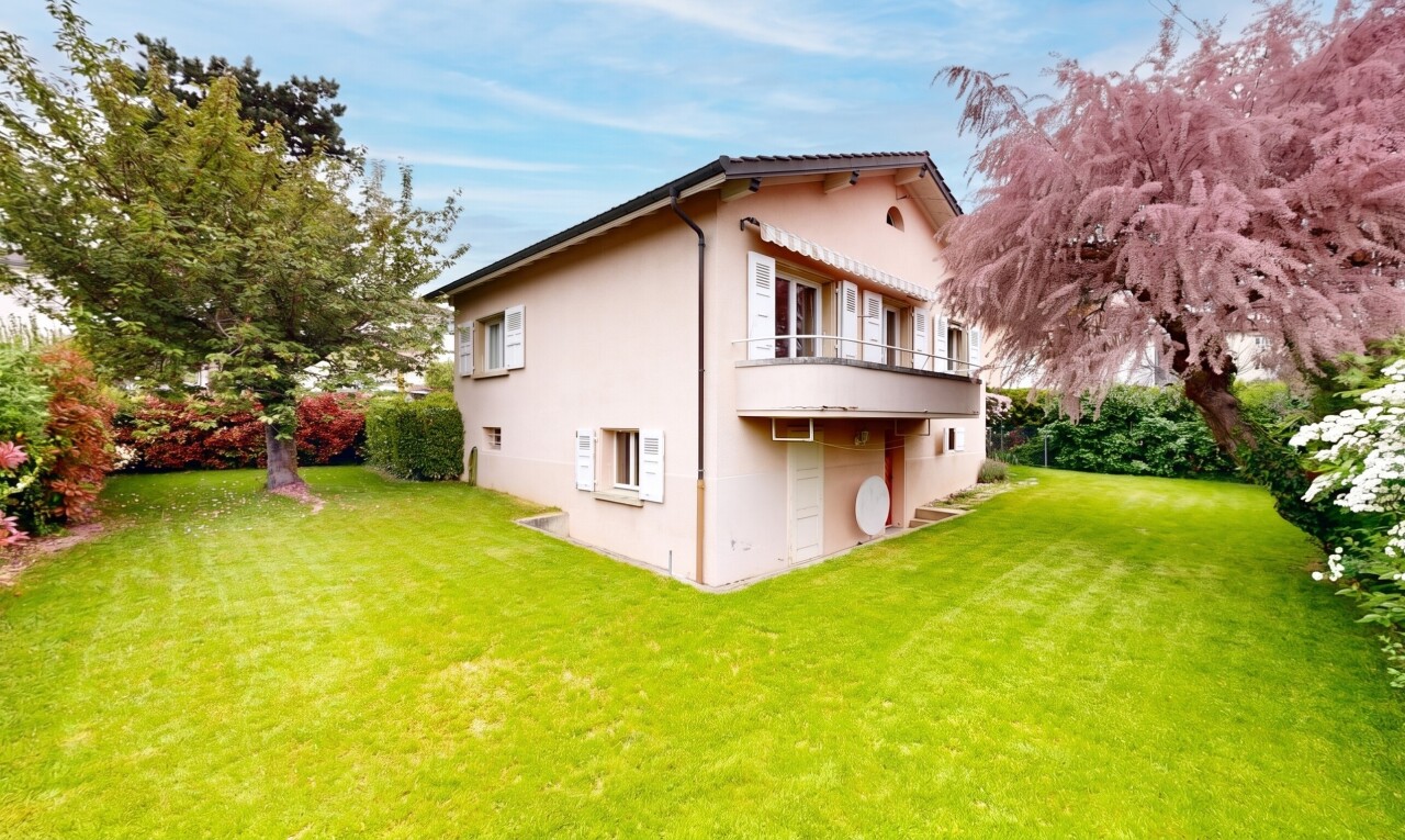 view of home featuring a lawn and stucco siding