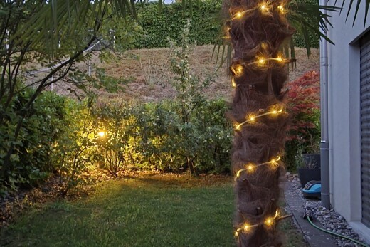 garden featuring a lawn