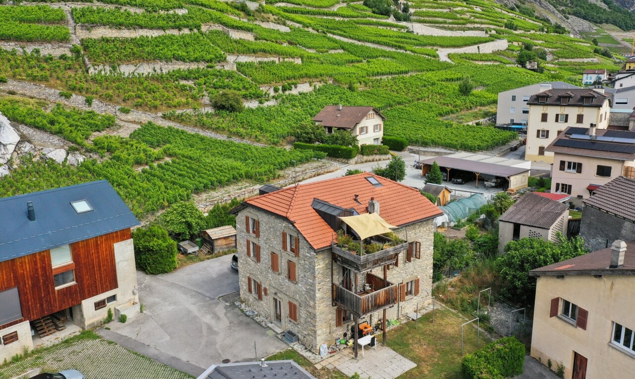 façade avec vue sur le verger/agriculture, orchard / agricultural view, bardage en pierre, vue rurale, et rural view
