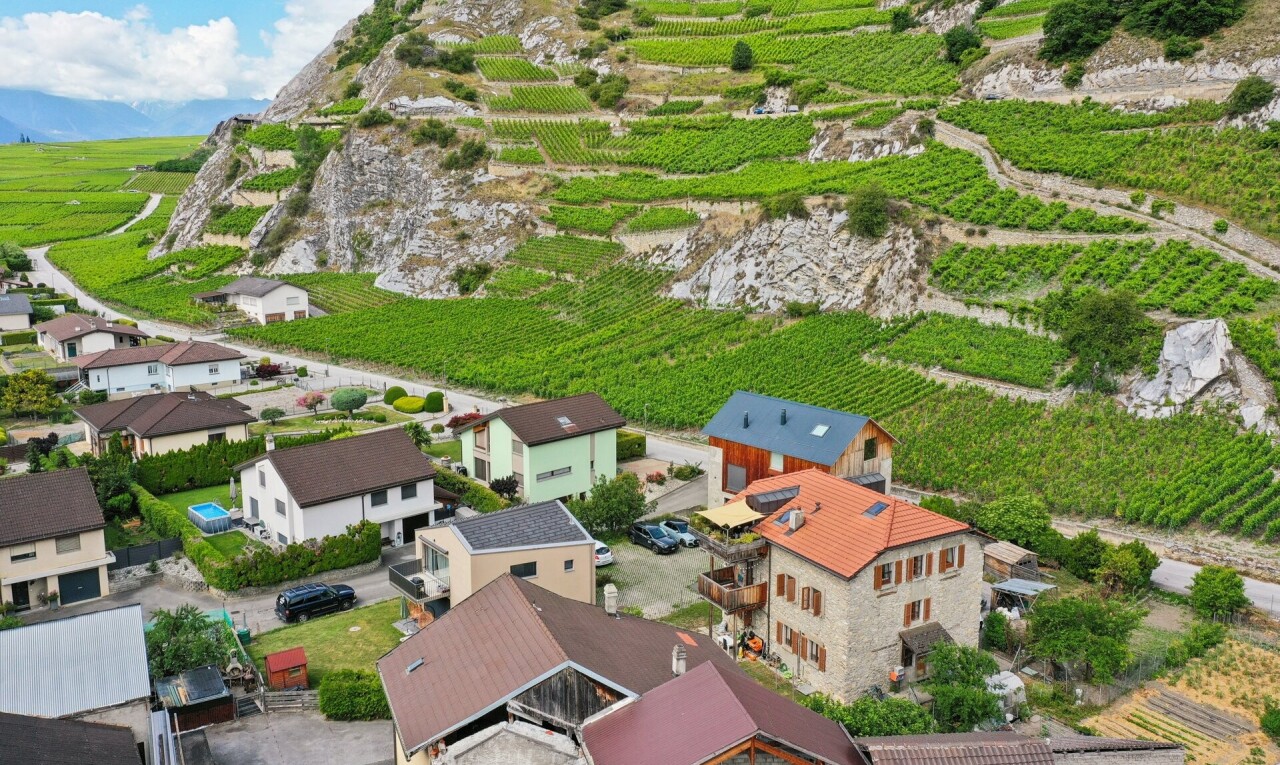 façade avec orchard / agricultural view, vue sur le verger/agriculture, rural view, vue rurale, et aerial view