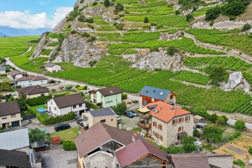 façade avec orchard / agricultural view, vue sur le verger/agriculture, rural view, vue rurale, et aerial view