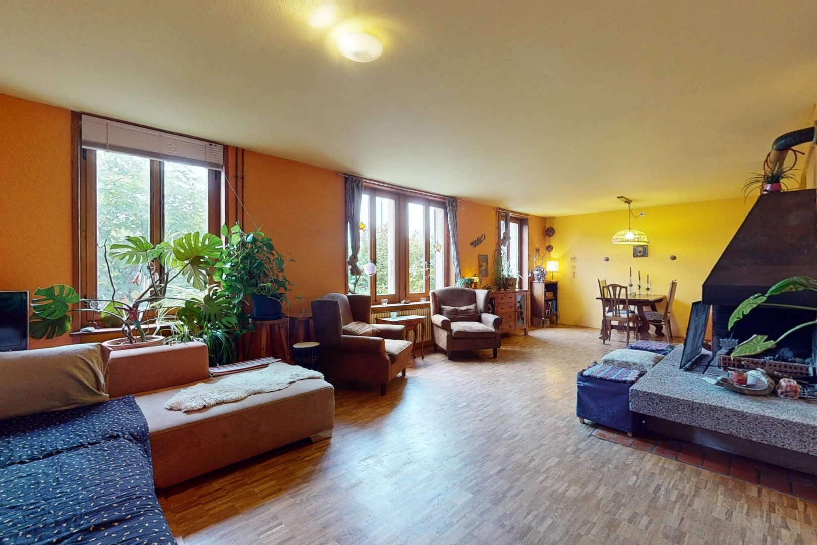 salon avec lumière naturelle et plancher de bois