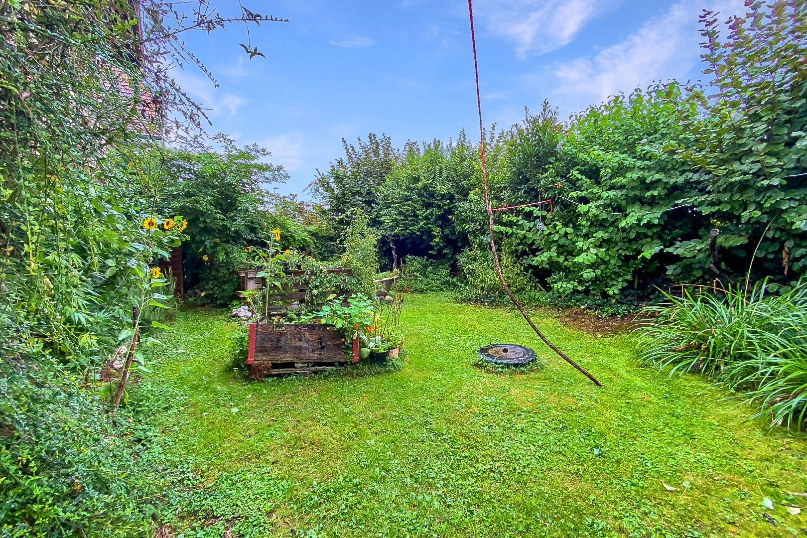 jardin avec pelouse