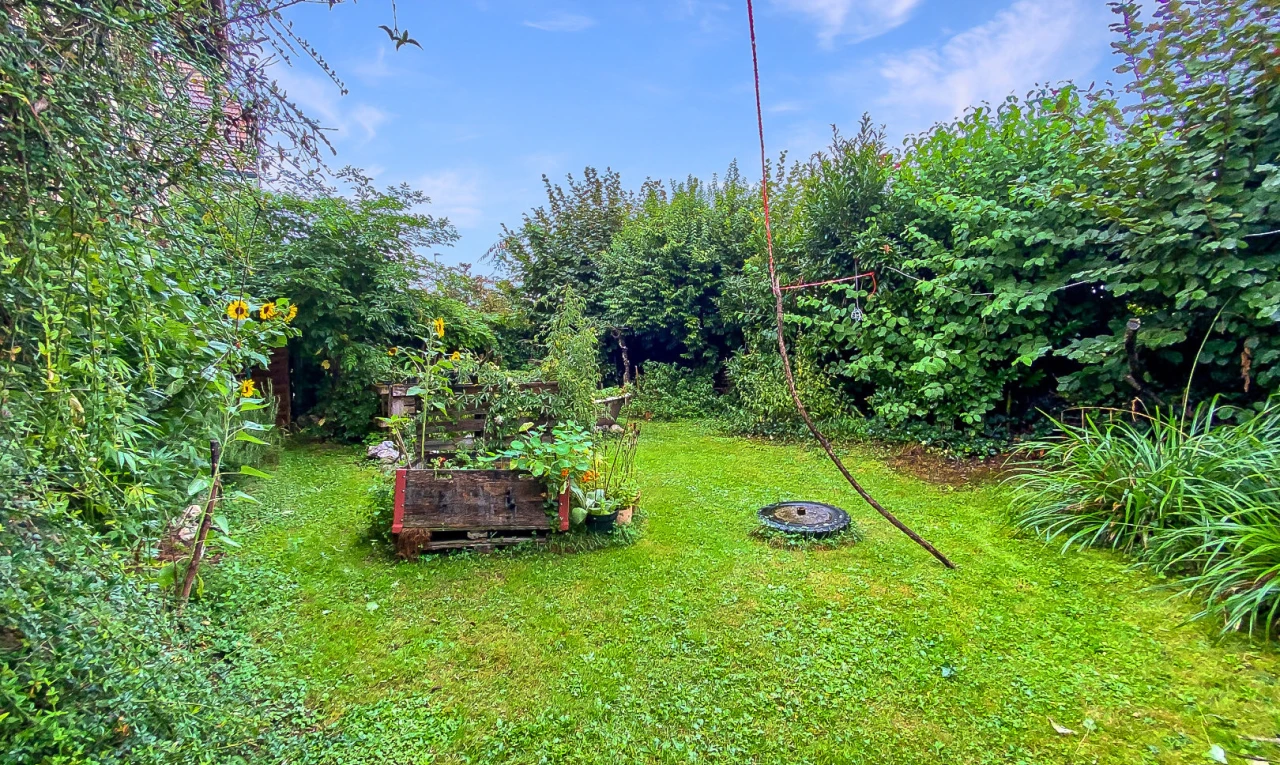 jardin avec pelouse