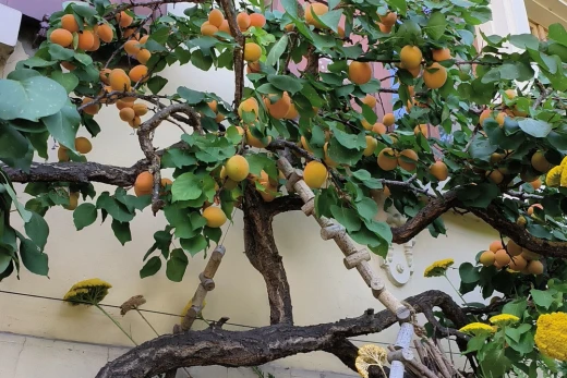 interior details with concrete flooring