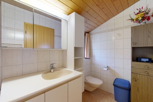 bad mit fliesenwand, tile wall, spiegel, schminktisch, und waschbecken