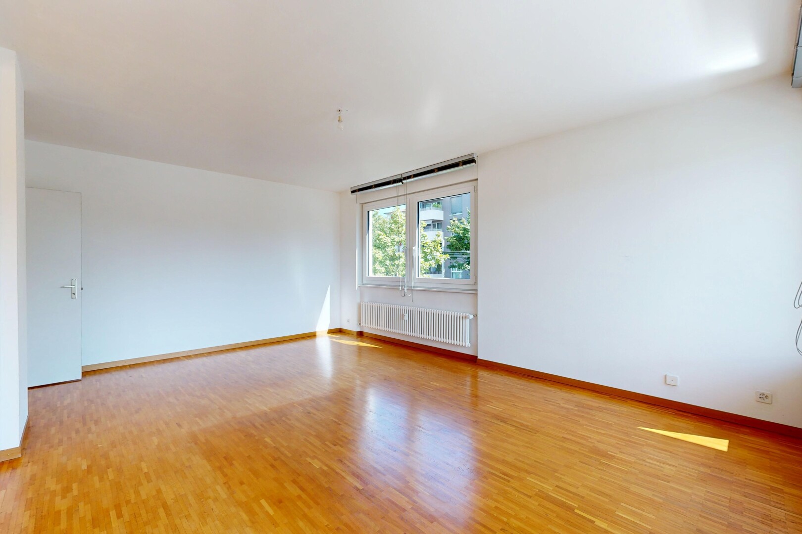 empty room featuring radiator heating unit and light wood-style flooring