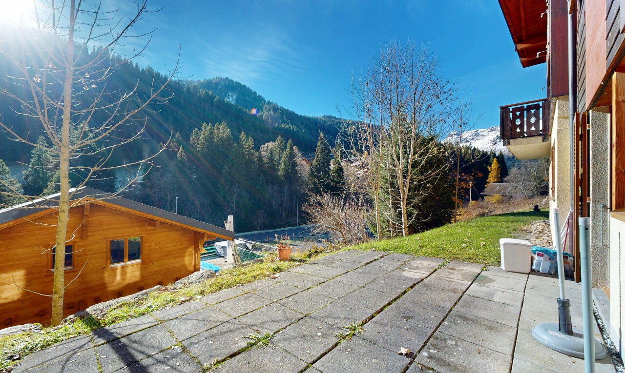 vue sur la montagne avec day time, vue sur la montagne, mountain view, vue sur la forêt, et forest view