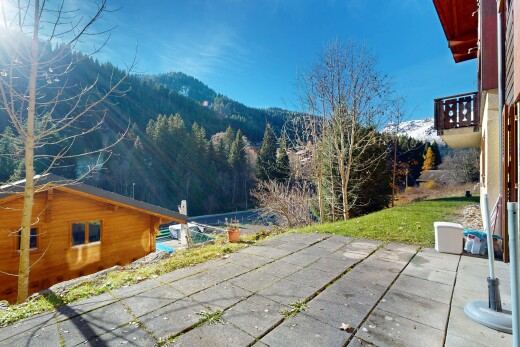 vue sur la montagne avec day time, vue sur la montagne, mountain view, vue sur la forêt, et forest view
