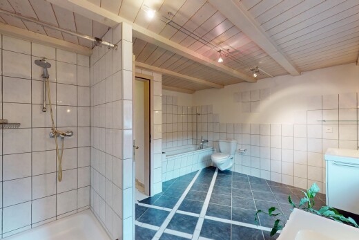 bad mit tile wall, fliesenwand, komplettes badezimmer, schminktisch, und inside property