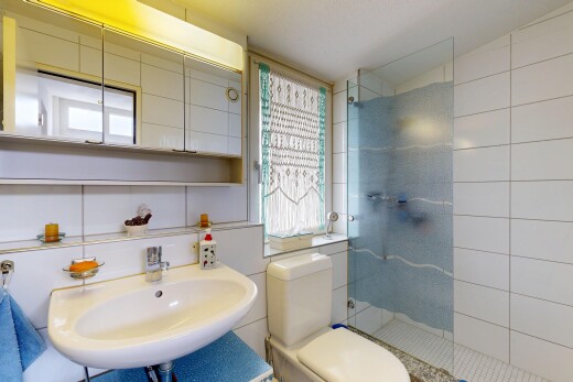 salle de bains avec toilette, douche, miroir, salle de bain complète, et natural light