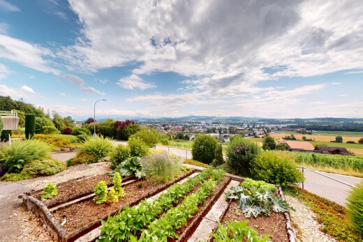 garten mit day time und garten