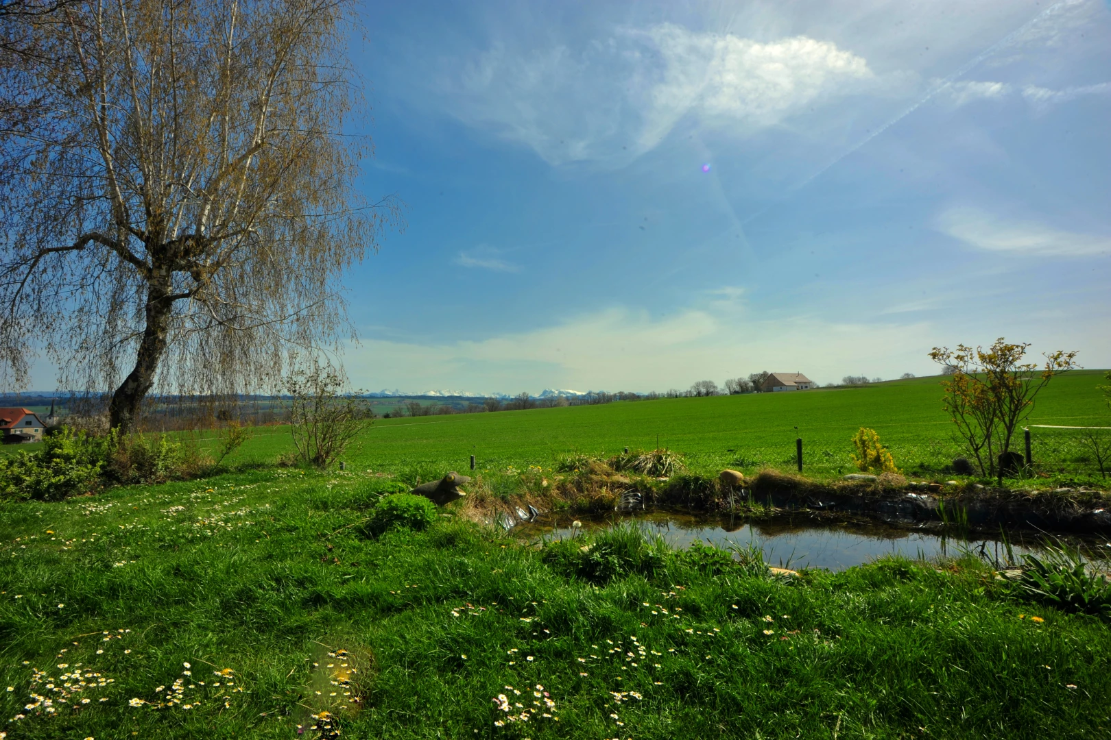 jardin avec vue rurale