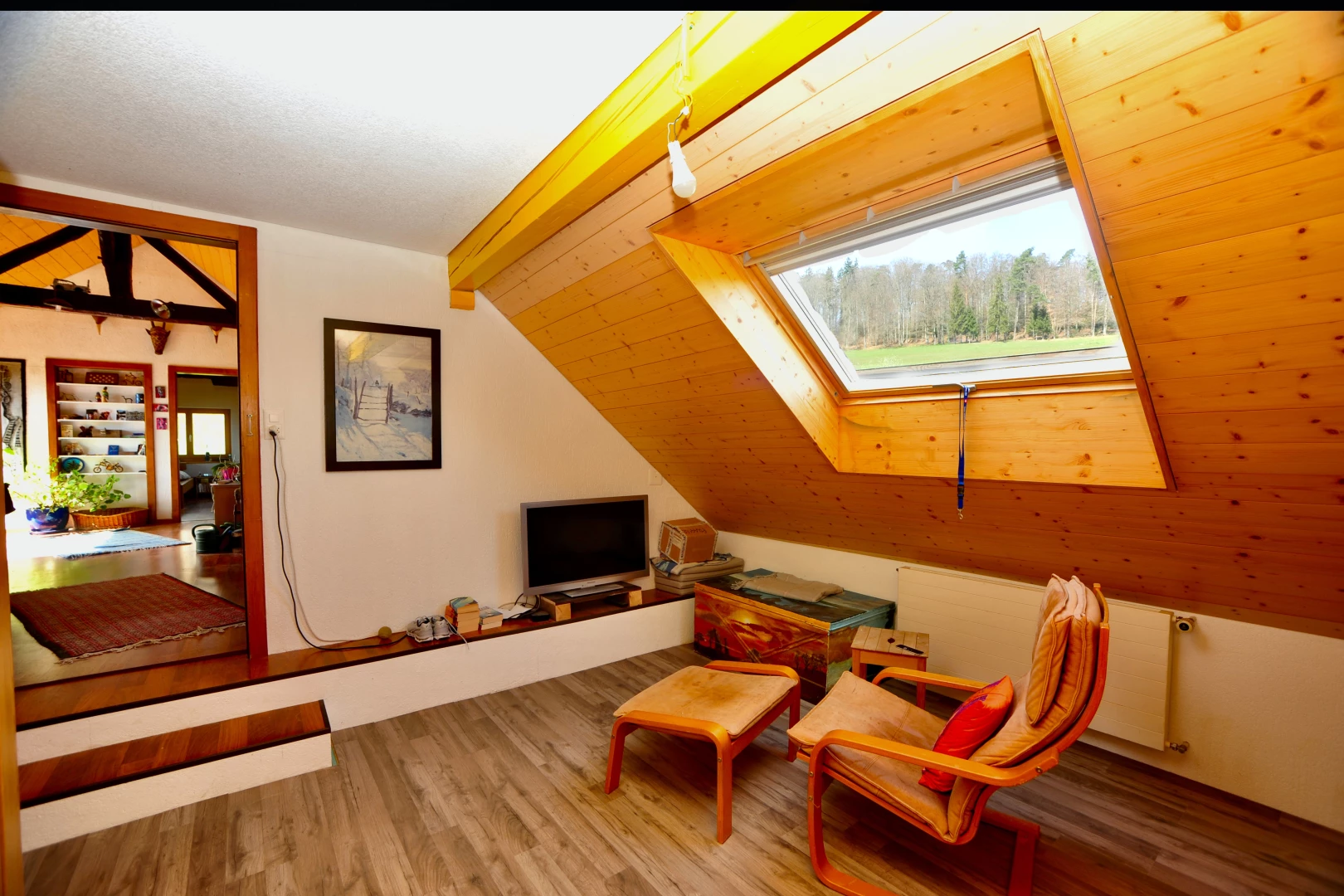 salon avec plafond voûté, lumière naturelle, lucarne, plancher de bois, et télévision