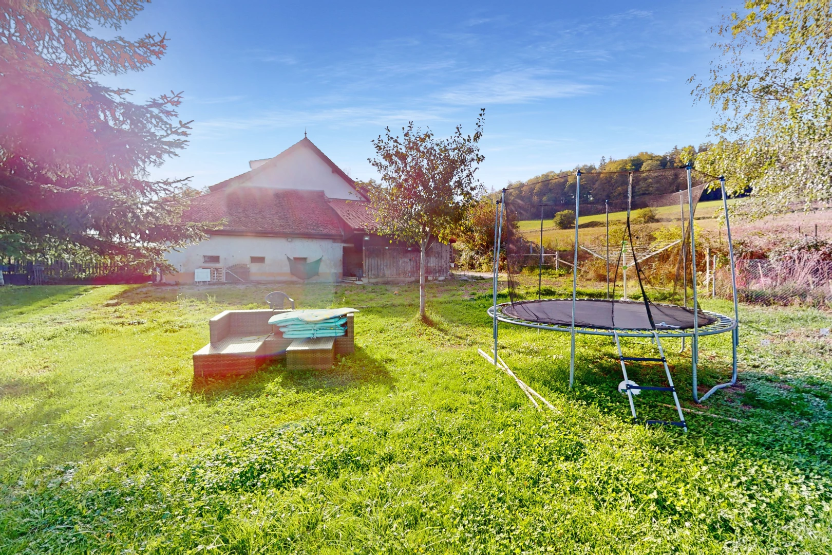 jardin avec pelouse et trampoline