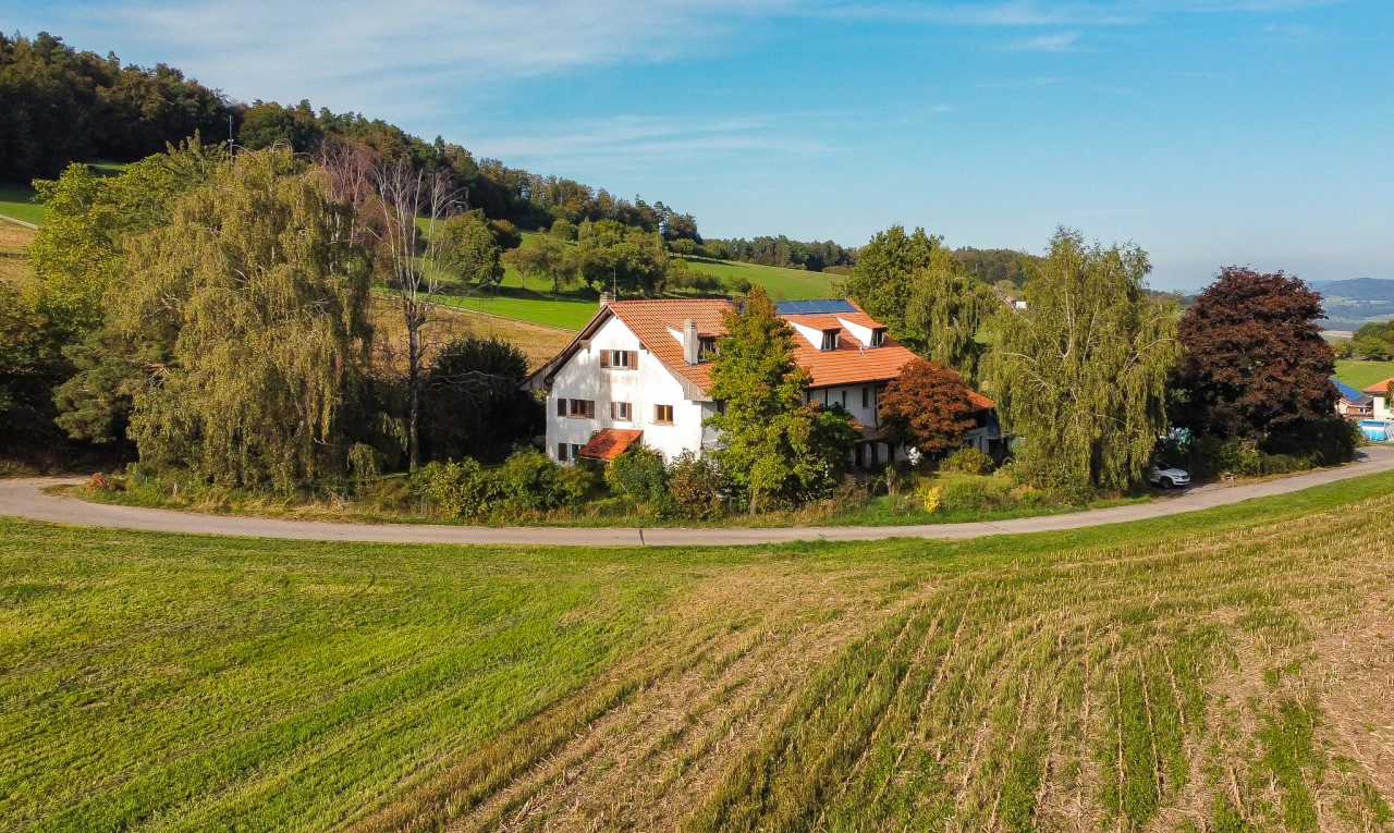 façade avec vue rurale, pelouse, et vue sur la forêt