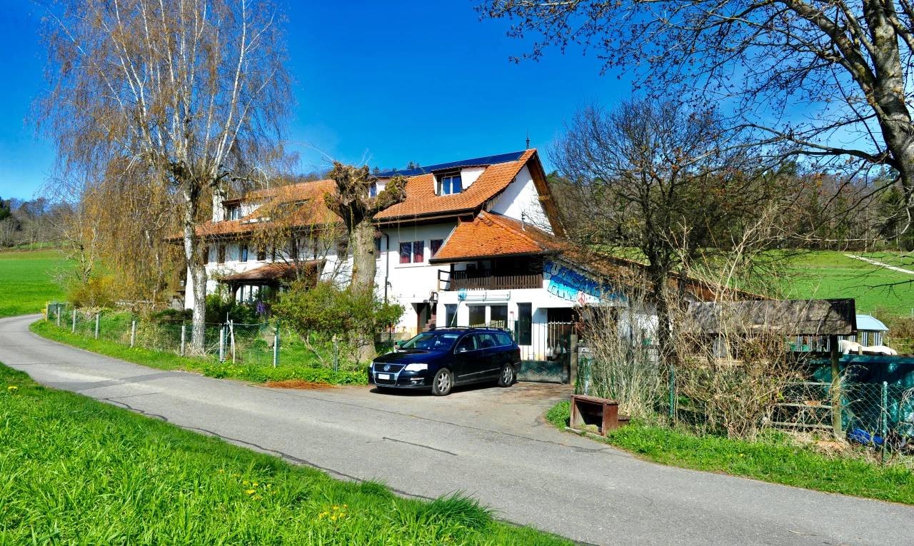 façade avec pelouse