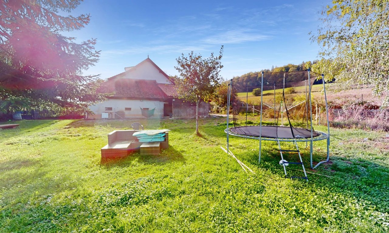 jardin avec pelouse et trampoline