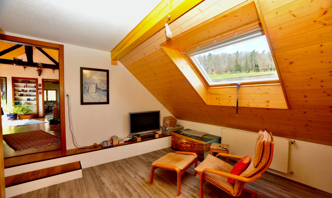 salon avec plafond voûté, lumière naturelle, lucarne, plancher de bois, et télévision