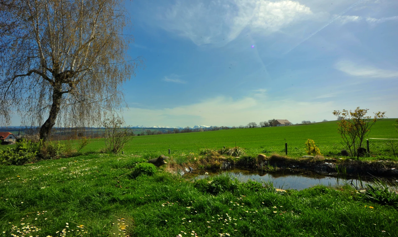 jardin avec vue rurale