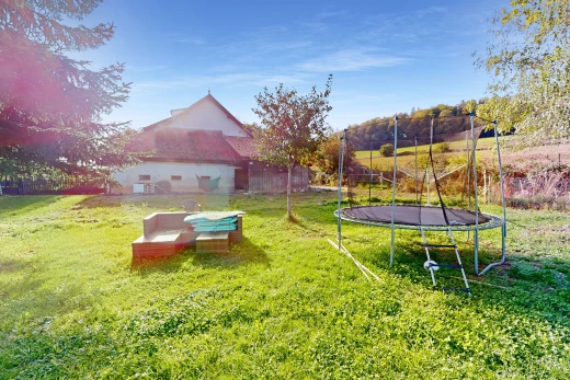 jardin avec pelouse et trampoline