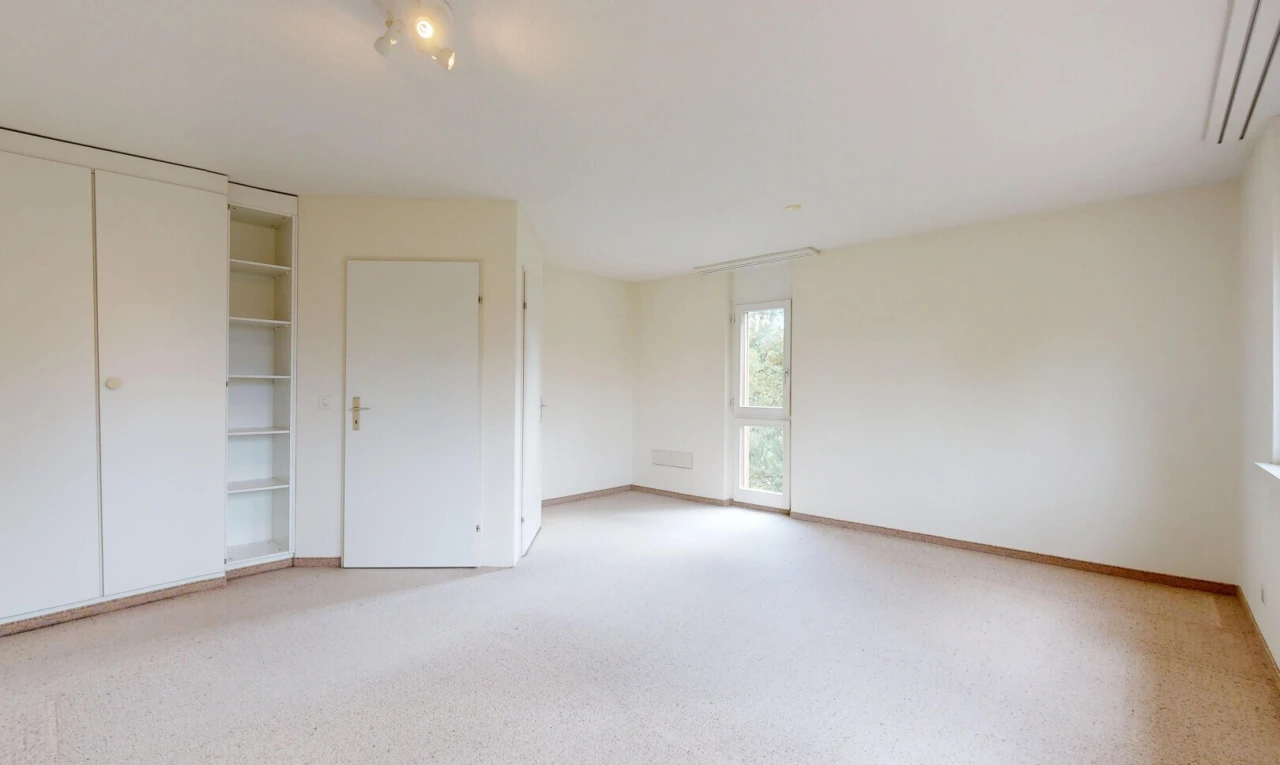 leerer raum mit drywall, gipskartonwand, carpet, teppich, und inside property