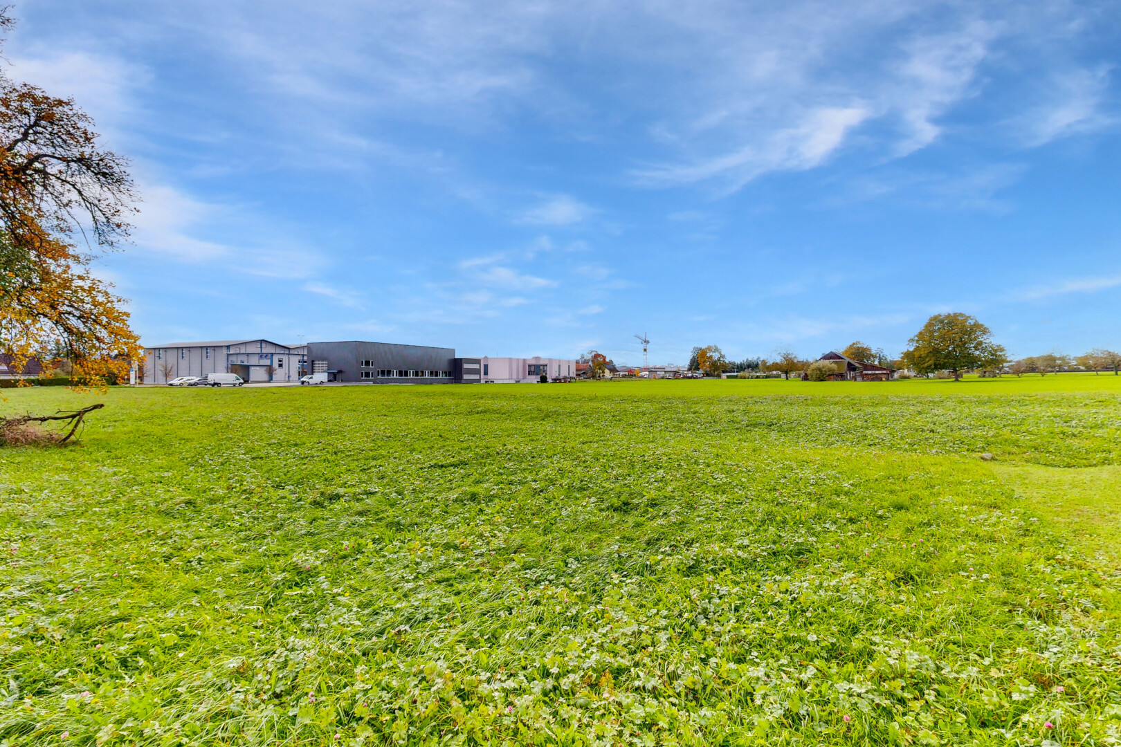 jardin avec day time, pelouse, et property visible