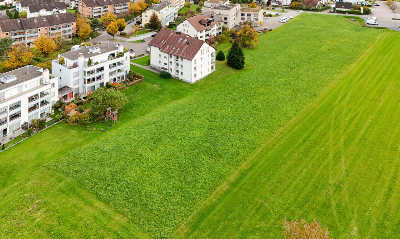 jardin avec aerial view et pelouse